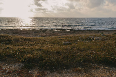 Scenic view of beach against sky during sunset