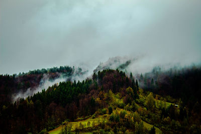 Panoramic view of trees and mountains against sky