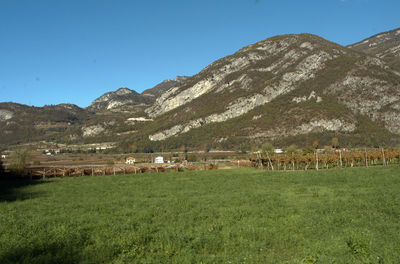 Winegrowing and viticulture in beautiful alpine landscape in south tyrol