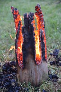 Close-up of bonfire on field