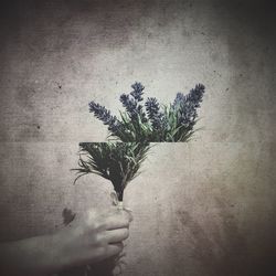 Plants growing on tree