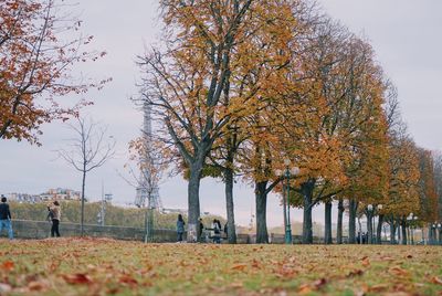 Trees growing on field against sky during autumn