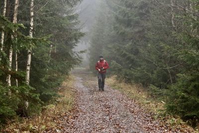 Rear view of woman walking on footpath in forest