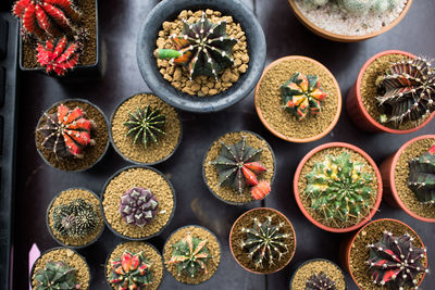 High angle view of fruits on table