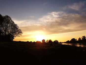 Silhouette trees on field against sky during sunset