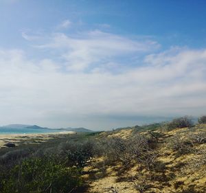 Scenic view of beach against cloudy sky