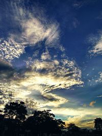 Low angle view of tree against sky during sunset