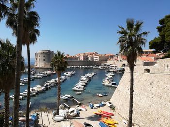 Sailboats moored at harbor against clear sky