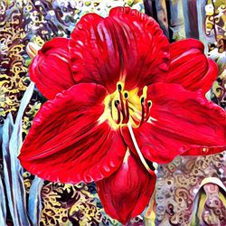 Close-up of red flower