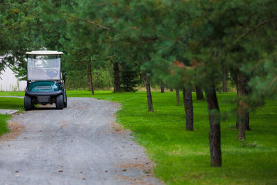 Road amidst trees on field