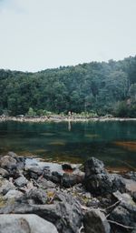 Scenic view of river against clear sky