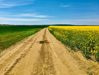 Dirt road amidst agricultural field against sky