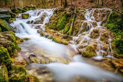 Scenic view of waterfall in forest