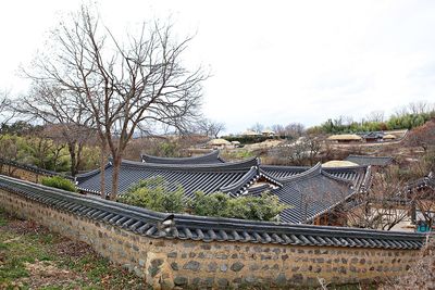 High angle view of bare trees and buildings against sky