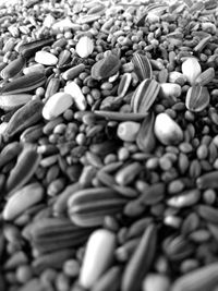 Full frame shot of fresh white background