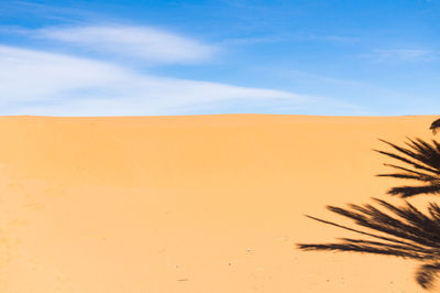 Scenic view of desert against blue sky