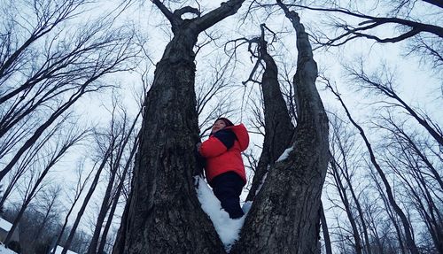 Low angle view of man climbing on snow covered tree