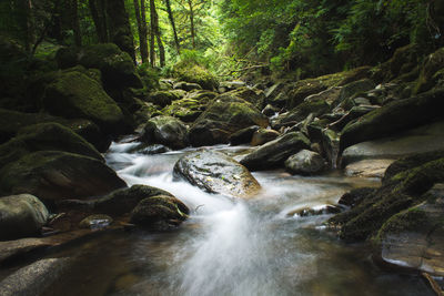 Stream flowing through rocks in forest