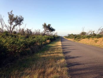 Empty road amidst field against clear sky