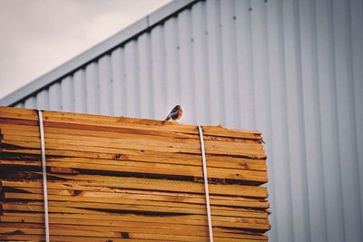 Close-up of wooden plank