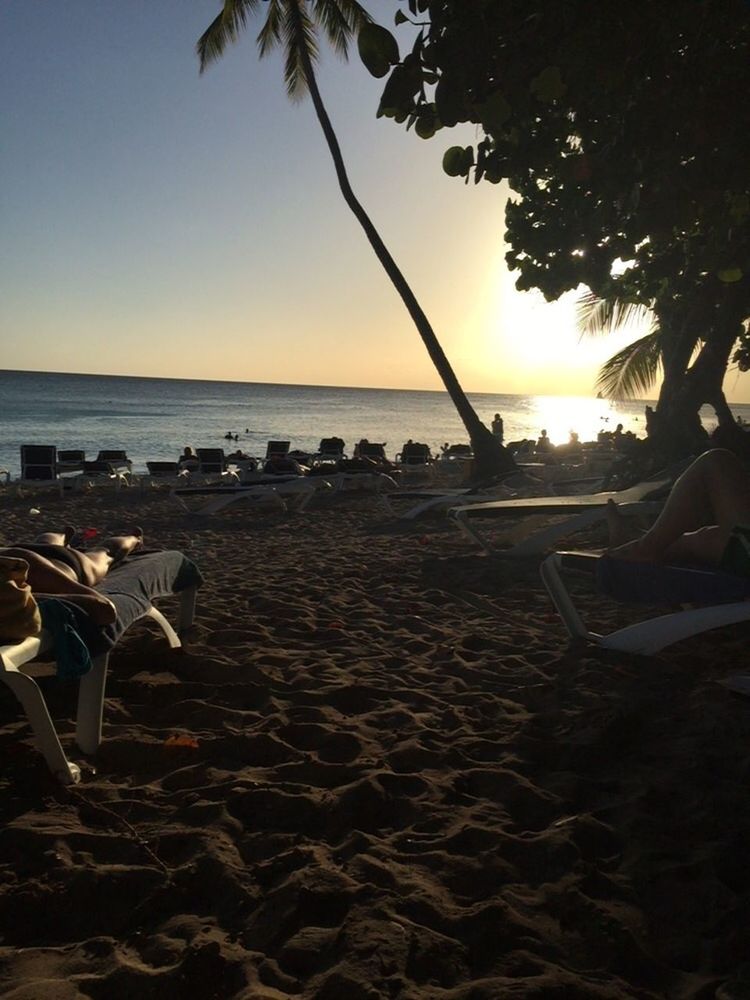 beach, sea, horizon over water, water, shore, tranquil scene, sand, tranquility, sunlight, scenics, beauty in nature, sunset, nature, sun, clear sky, sky, chair, tree, idyllic, palm tree