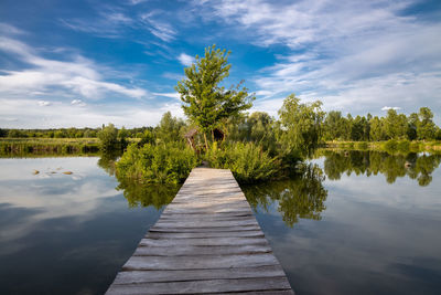 Wooden bridge over the lake, river. trees with green leaves, blue sky with clouds. 