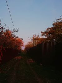 Trees by plants against sky during autumn