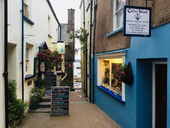 Potted plants outside building