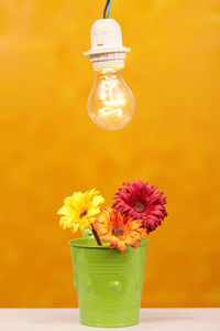 Close-up of yellow flower in vase on table