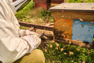 Low angle view of man working on wood