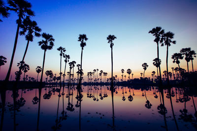 Silhouette palm trees by swimming pool against sky during sunset