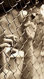 Close-up of hands holding chainlink fence