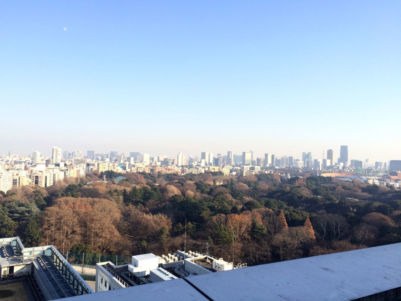 building exterior, architecture, built structure, clear sky, city, cityscape, copy space, tree, skyscraper, blue, high angle view, residential district, residential structure, crowded, residential building, growth, day, tall - high, urban skyline, no people