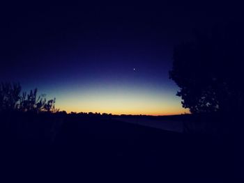 Silhouette trees on field against clear sky at night