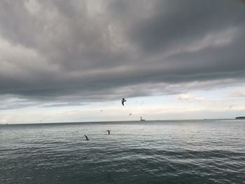 Seagulls flying over sea against sky