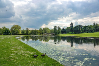 Scenic view of lake by trees against sky