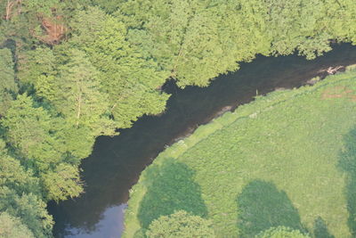 High angle view of river amidst trees in forest