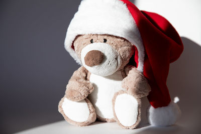 teddy bear