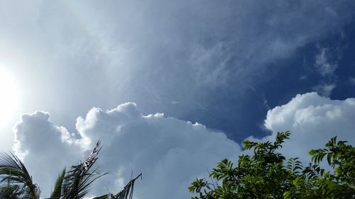 Low angle view of trees against cloudy sky