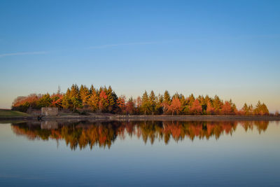 Scenic view of lake by trees against clear sky