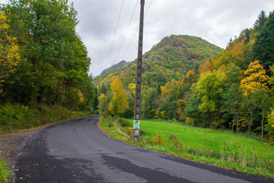 Road amidst trees against sky