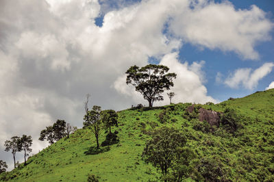 Overview of trees on top of a hill and clouds near the town of joanopolis, brazil.