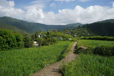 Scenic view of field against sky