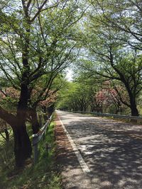 Trees in park against sky