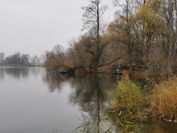 Scenic view of lake by trees against sky