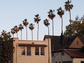 Low angle view of palm trees and building against sky