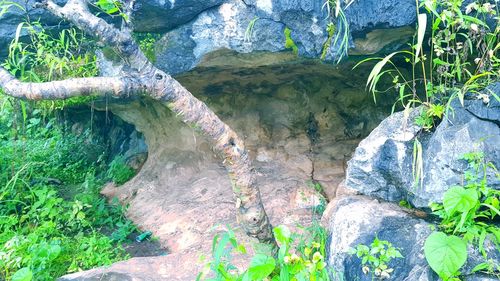 High angle view of water flowing through rocks in forest