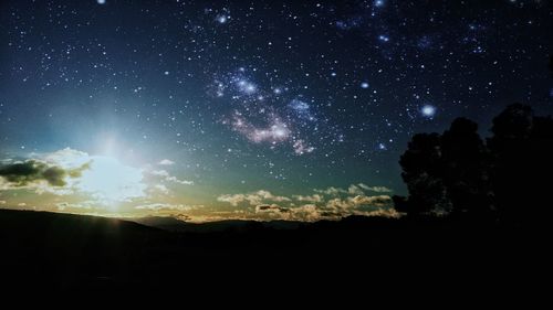 Silhouette trees against sky at night