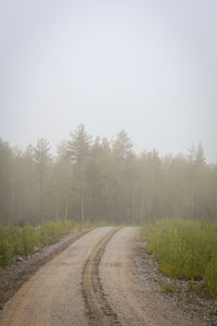 Road amidst trees against sky