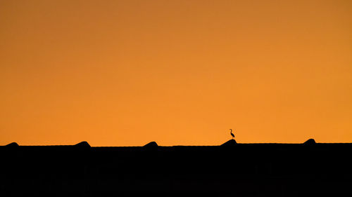 Silhouette birds on landscape against orange sky